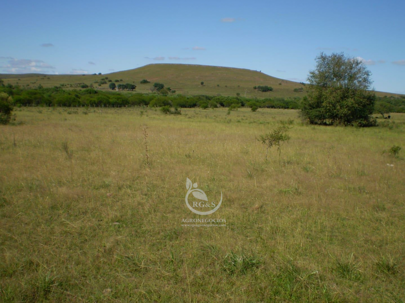 Suelos aptos para agricultura y/o mejoramiento en pasturas